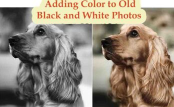 Adding Color to Old Black and White Photos