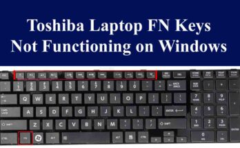 Toshiba Laptop FN Keys Not Functioning