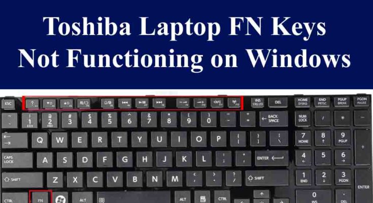 Toshiba Laptop FN Keys Not Functioning
