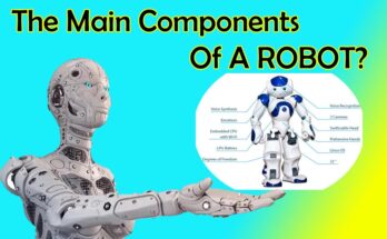 The Main Components Of A ROBOT